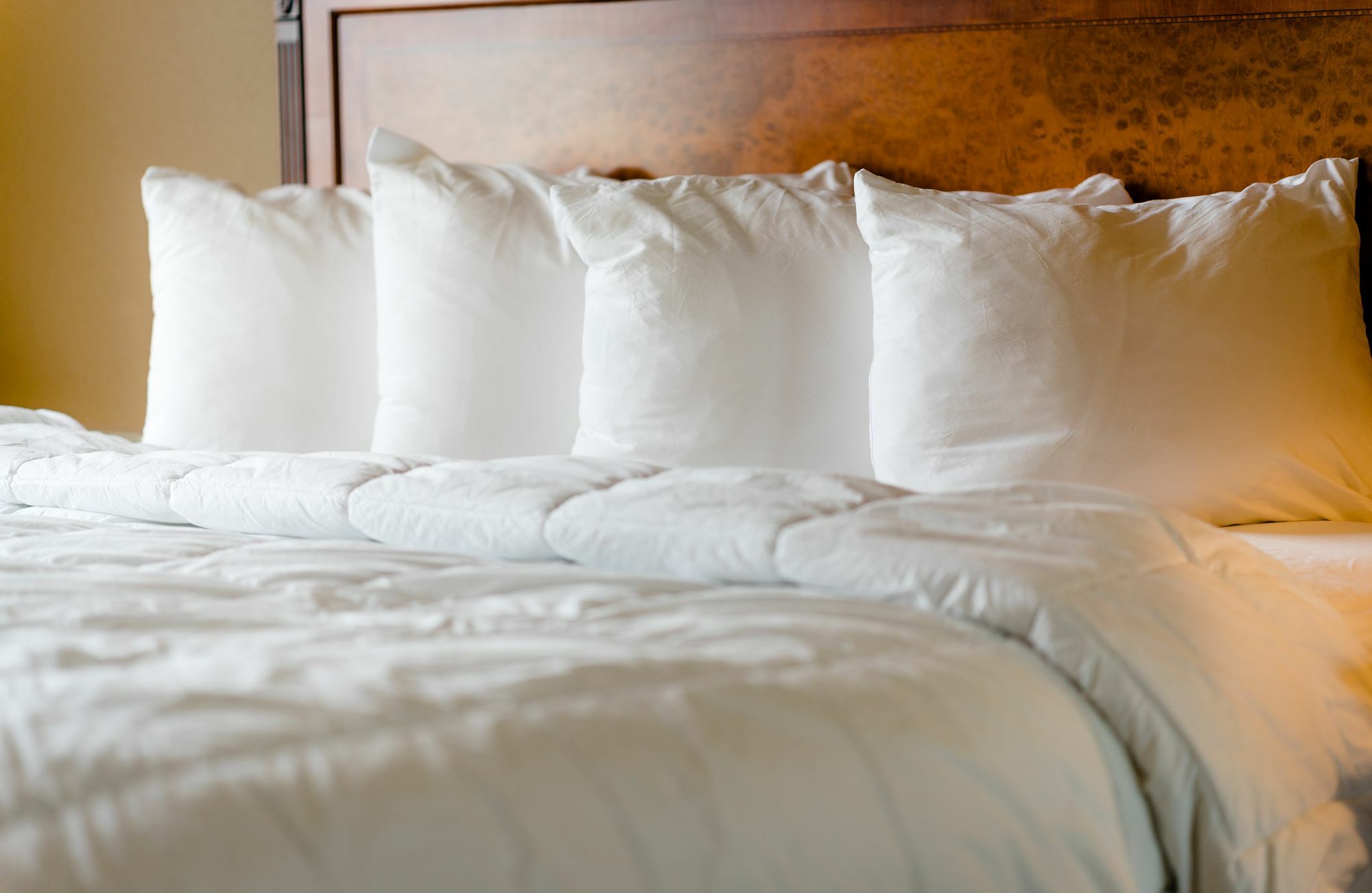 The Wildwood Hotel Esterno foto